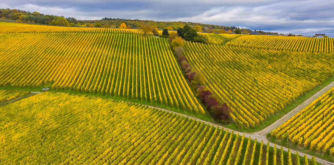 ** PRIER DANS LA VILLE, S'ARRÊTER PRIER ENSEMBLE ** - Page 8 Evan39-campagne-vignes-vues-de-haut-652ff3f455a2b158558318