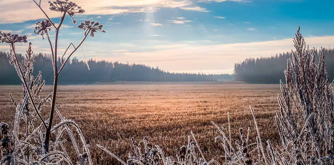 ** PRIER DANS LA VILLE, S'ARRÊTER PRIER ENSEMBLE ** - Page 8 Evan56-campagne-champ-givre-652ff557ce994183512386